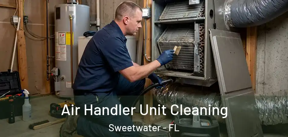  Air Handler Unit Cleaning Sweetwater - FL