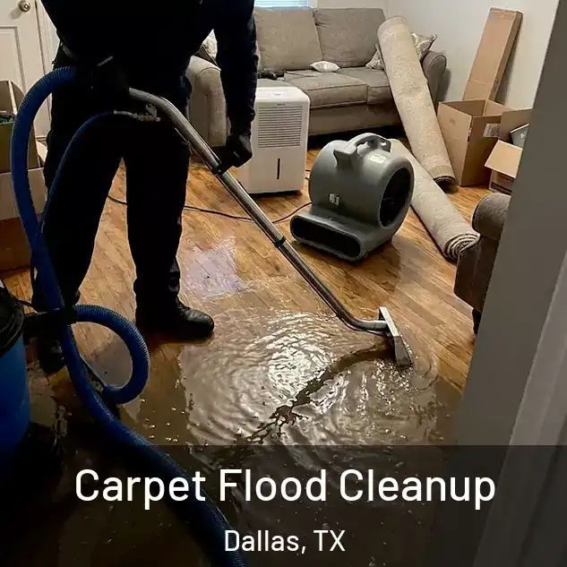  Carpet Flood Cleanup Dallas, TX