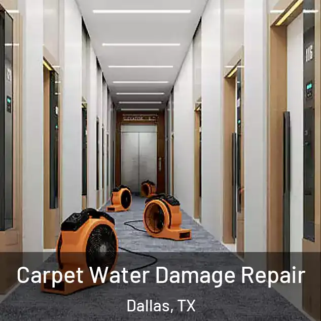  Carpet Water Damage Repair Dallas, TX