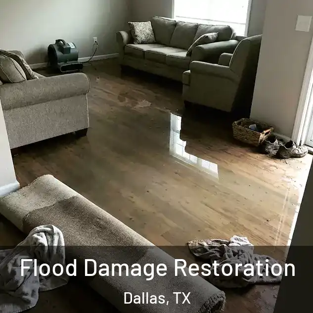  Flood Damage Restoration Dallas, TX