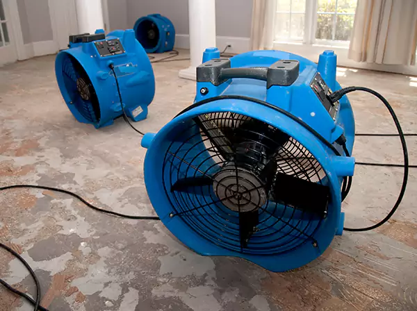 Structural Drying in Dallas, TX