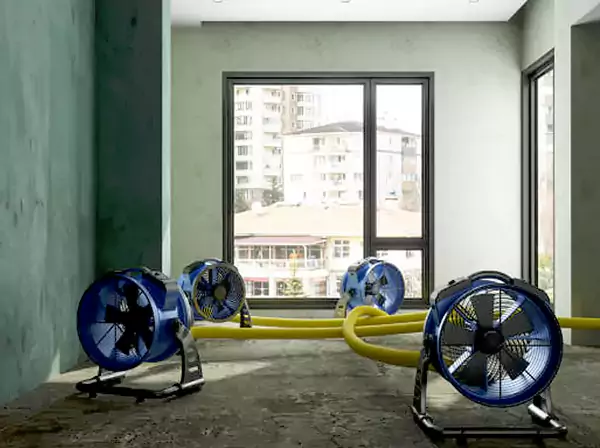 Water Removal Cost in Dallas, TX