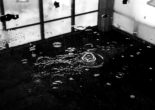 Complete Contaminated Water Cleanup and Restoration Services in Dallas, TX