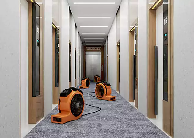 Comprehensive Carpet & Floor Recovery Options in Dallas, TX