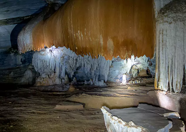 Crawl Space Water Damage Solutions in Dallas, TX