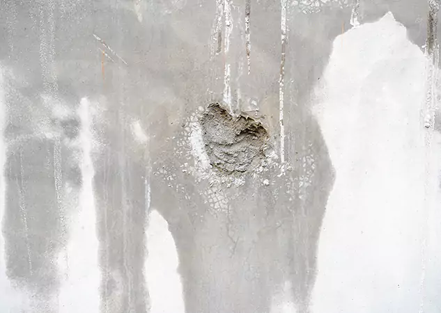 Comprehensive Moisture Removal and Mold Treatment Services in Dallas, TX