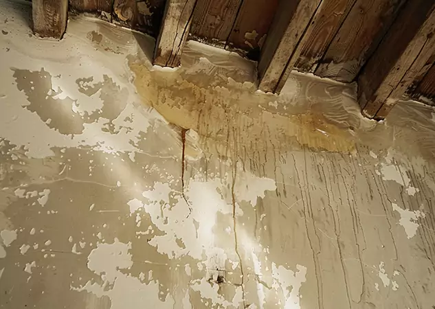 Full-Service Roof Leak Water Damage Repair Options in Dallas, TX