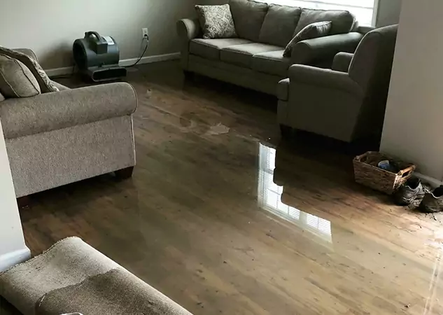 Full-Service Water Cleanup and Restoration Solutions in Dallas, TX