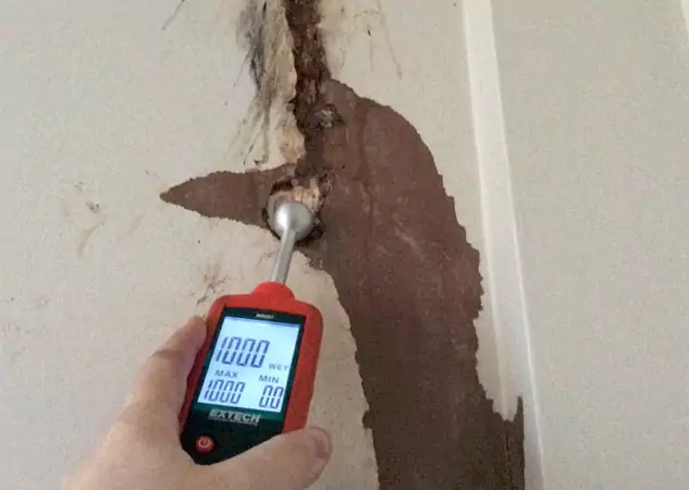 Reliable Water Damage Detection Services at Competitive Rates in Dallas, TX