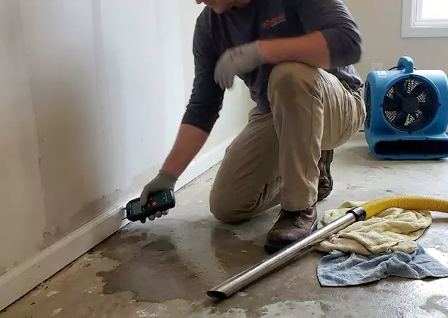 Complete Mold & Water Damage Services in Dallas, TX