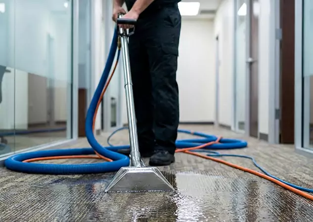 Comprehensive Carpet & Floor Water Extraction Services in Dallas, TX