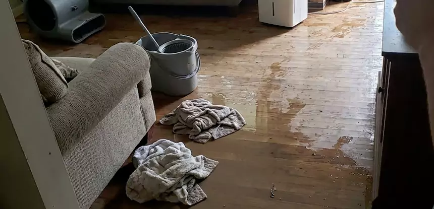 Basement Restoration Services Designed for Complete Recovery in Dallas, TX