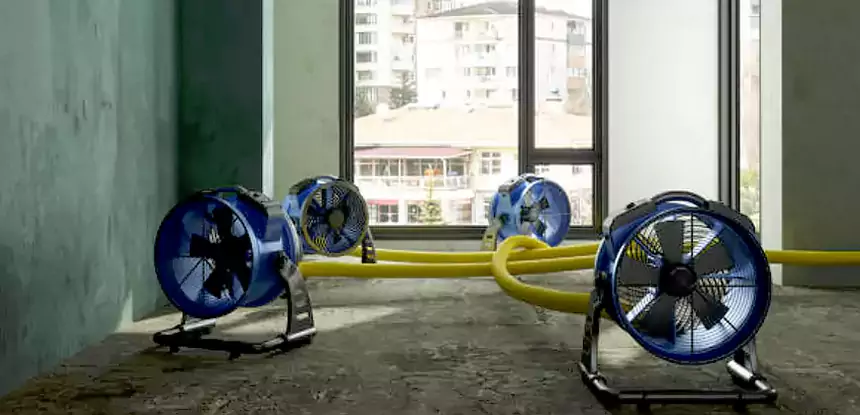 Advanced Structural Drying Solutions for Lasting Protection Across Dallas, TX