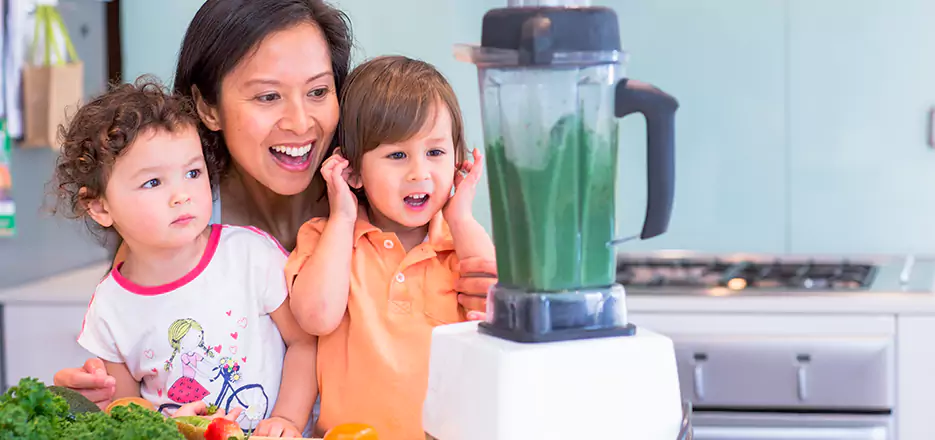 Juicer and Mixer Blender Repair in Islip 