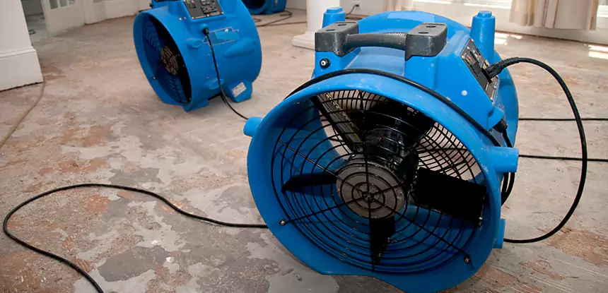 Dallas Structural Drying and Sanitization