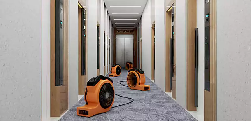 Deep Structural Drying Techniques in Dallas