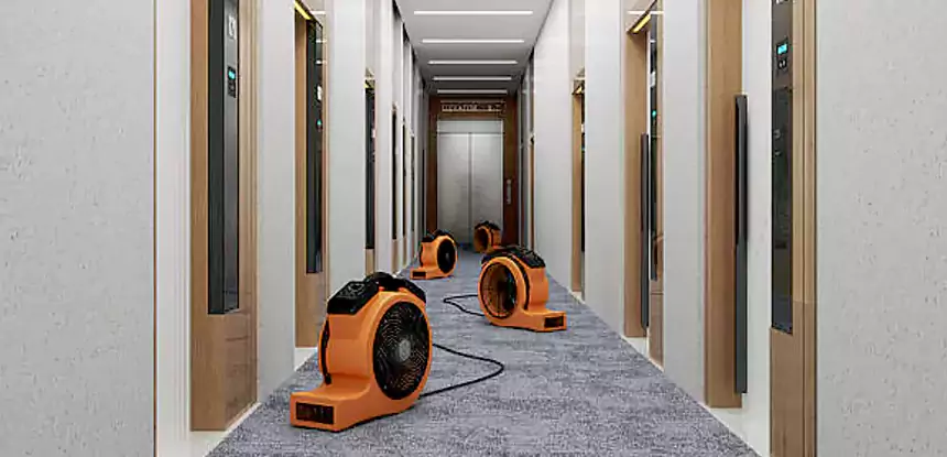 Dallas Moisture Prevention and Control