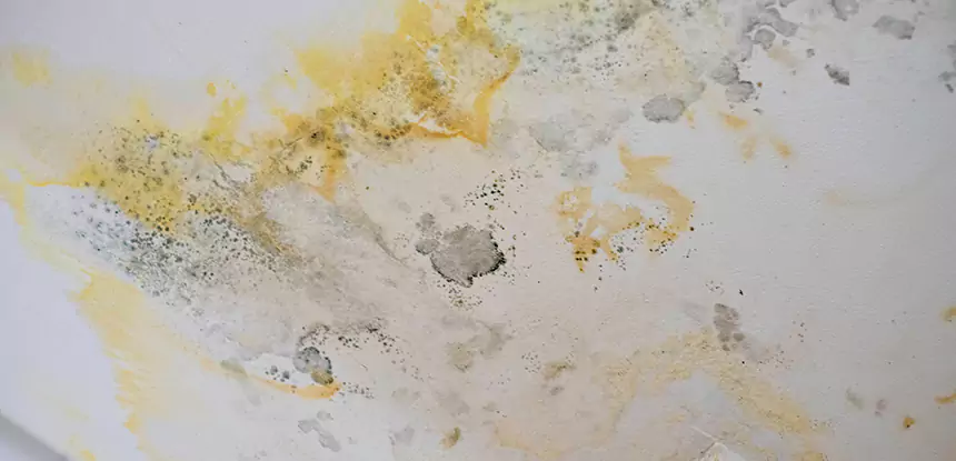 Dallas Deep Surface Water Stain Repair