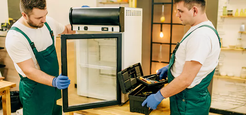 Sub Zero Mini Fridge Repair in Islip