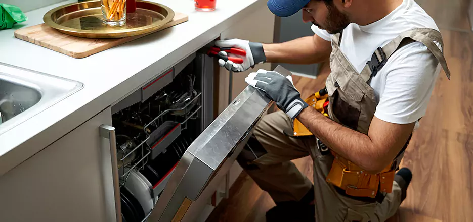 Sub Zero Same Day Dishwasher Not Draining Repair in Islip
