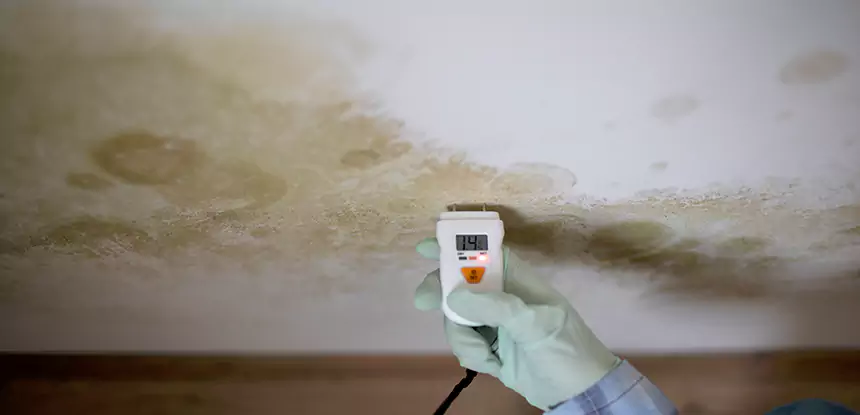 Targeted Mold & Water Restoration Services for Every Property in Dallas, TX