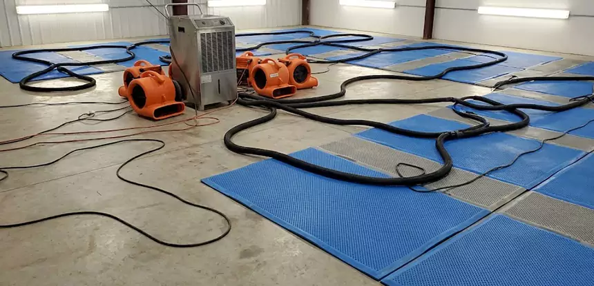 Complete Water Restoration Services for Homes and Businesses in Dallas, TX