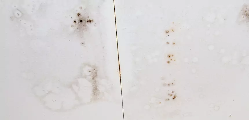 Residential Ceiling Water Stain Repair