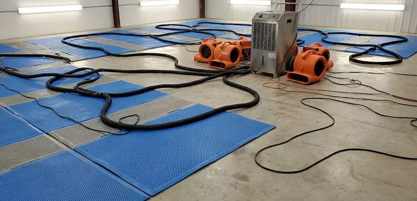 Reliable Carpet & Floor Drying Solutions in Dallas, TX