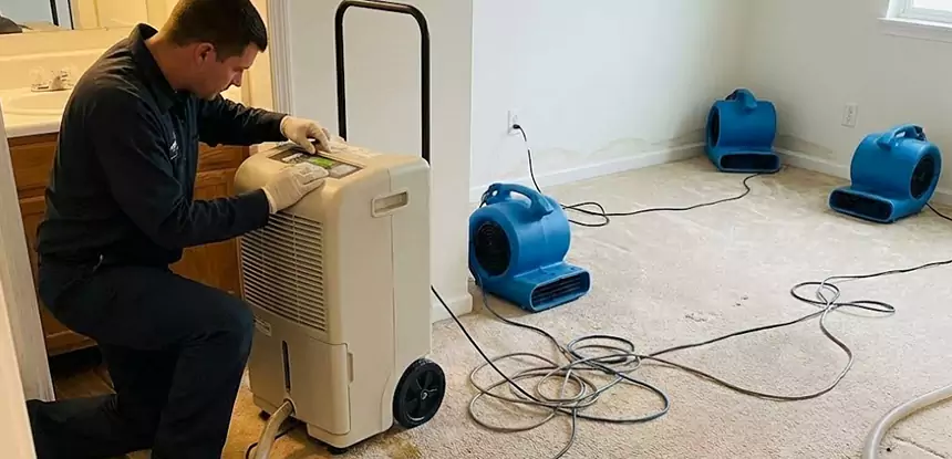 Complete Carpet & Flooring Restoration Services for Lasting Results in Dallas, TX