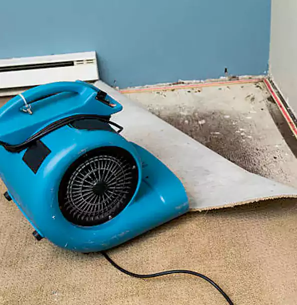 What Makes Our Restoration Services in Dallas, TX Stand Out?