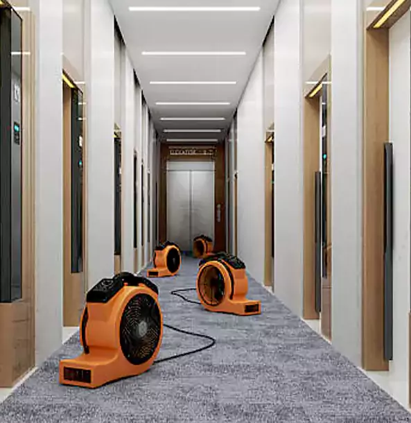 Why Homeowners and Businesses Choose Our Extraction Experts in Dallas, TX?