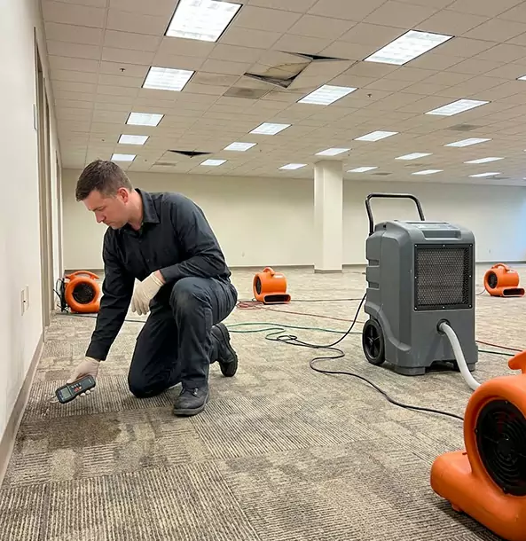 Why Businesses in Dallas, TX Choose Our Restoration Experts?