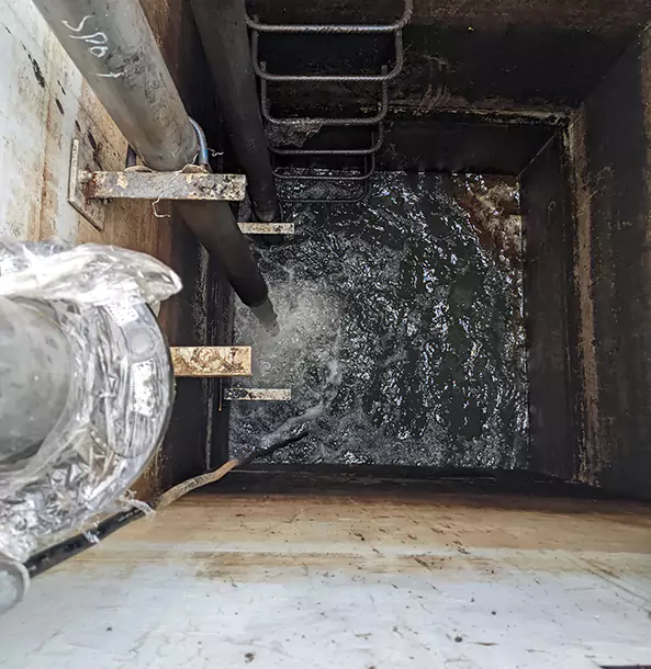 What Makes Our Crawl Space Services Stand Out in Dallas, TX?