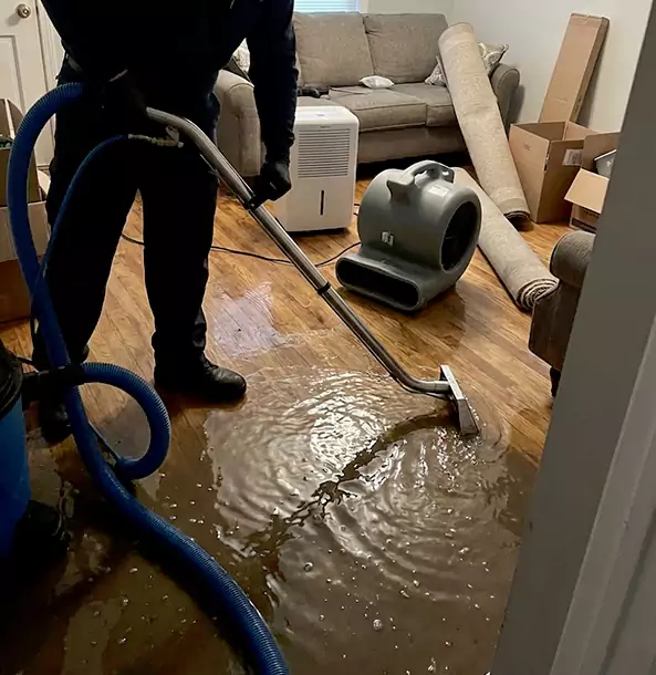 Why Homeowners Choose Our Flood Cleanup Experts in Dallas, TX?