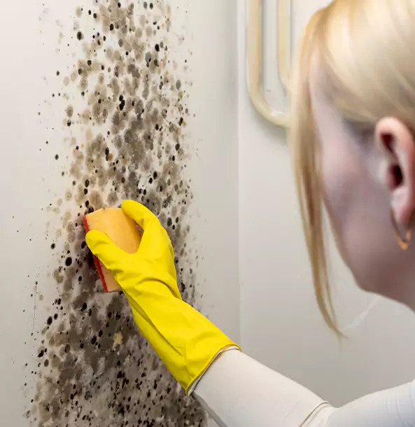 Why Our Mold Cleanup Services Deliver Better Results in Dallas, TX?
