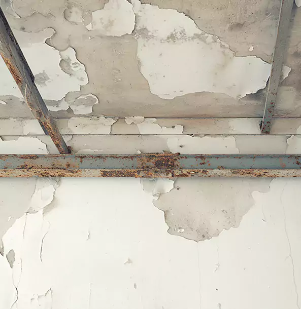 What Makes Our Roof Leak Restoration Team Stand Out in Dallas, TX?