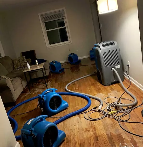 Why Our Sewage Cleanup Specialists Deliver Better Results in Dallas, TX?