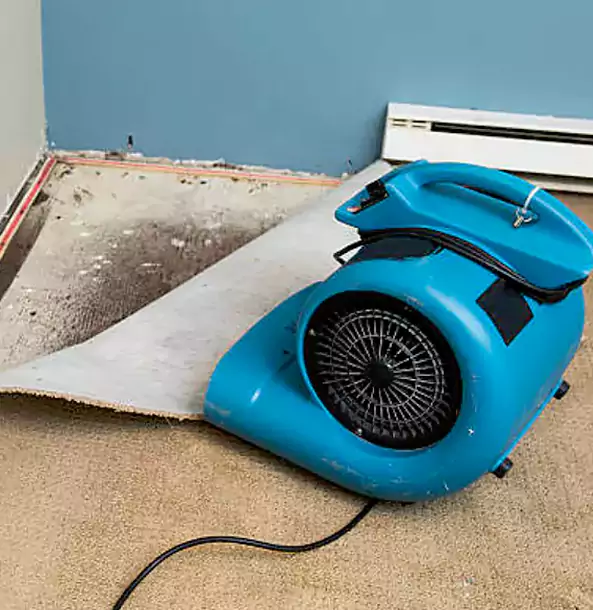 What Makes Our Structural Drying Services Stand Out in Dallas?