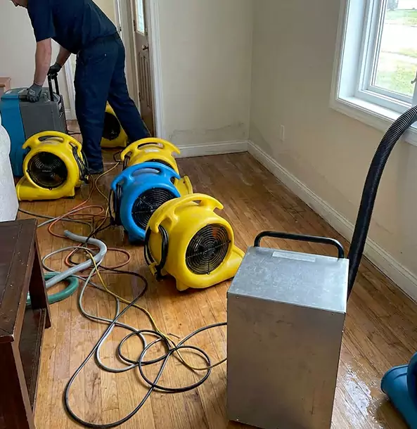 Why Property Owners in Dallas, TX Choose Our Water and Mold Remediation Experts?