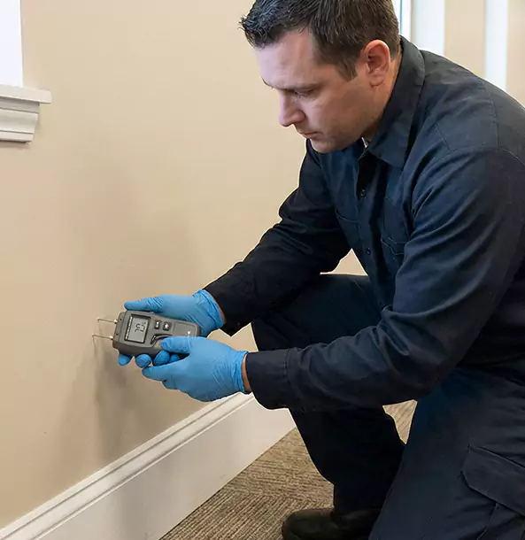 Why Property Owners in Dallas, TX Choose Our Detection Team?