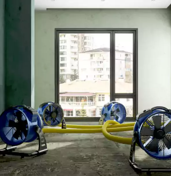 Why Dallas Property Owners Rely on Our Drying Services in Dallas, TX?