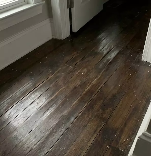 What Makes Our Wood Restoration Team Stand Out in Dallas, TX?