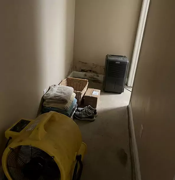 Trusted Water Extraction Company in Dallas