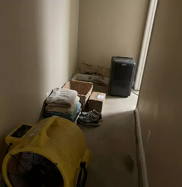 Why Homeowners Trust Our Water Remediation Experts in Dallas, TX?