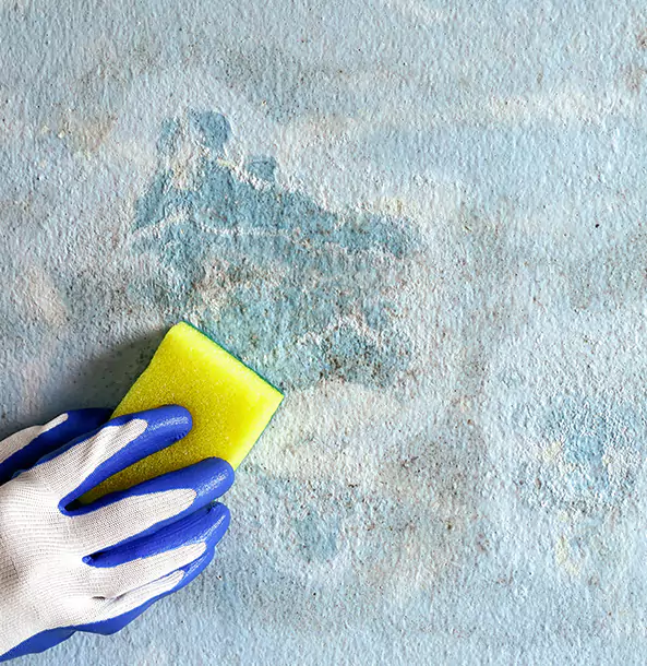 What Makes Our Dallas Restoration Team Stand Out?