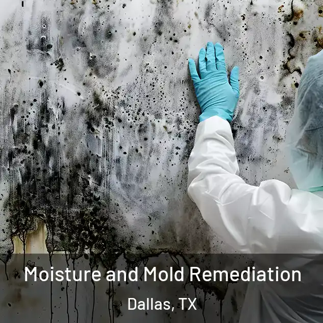  Moisture and Mold Remediation Dallas, TX