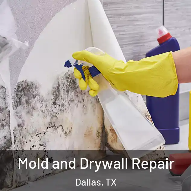  Mold and Drywall Repair Dallas, TX