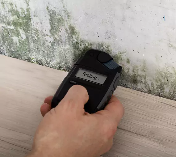 Mold Remediation Service Dallas