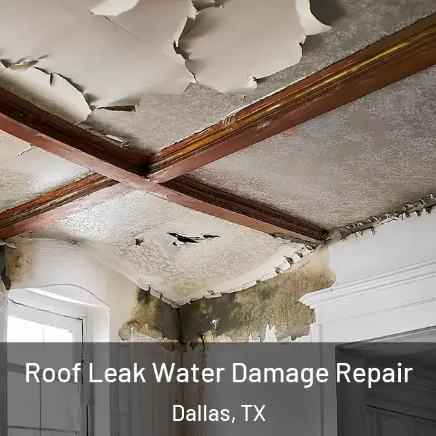  Roof Leak Water Damage Repair Dallas, TX