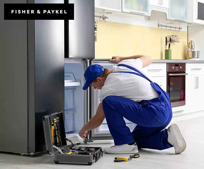 Top-Rated Fisher & Paykel Appliance Experts: Your Brand Specialist in Islip, NY